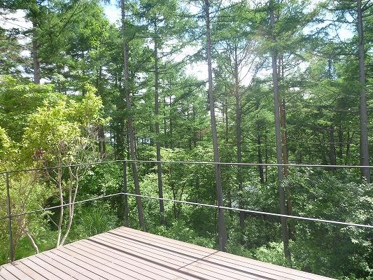 View photos from the dwelling unit