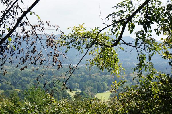 View photos from the dwelling unit. From the main house living room. Golf course you will see under eyes and thinning out trees.