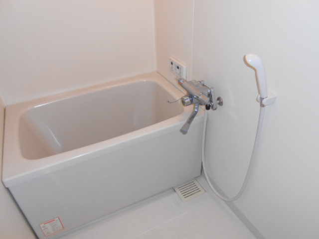 Bath. Tub with add-fired function