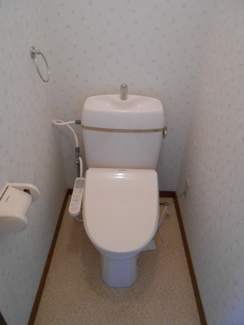 Toilet. Bidet