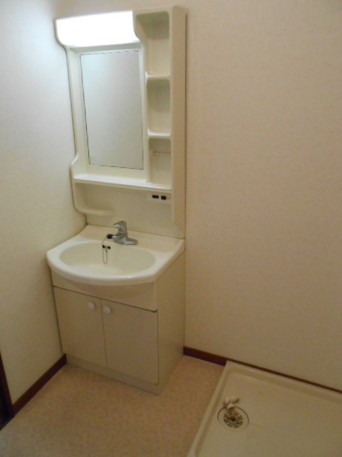 Washroom. Separate vanity (with lighting)