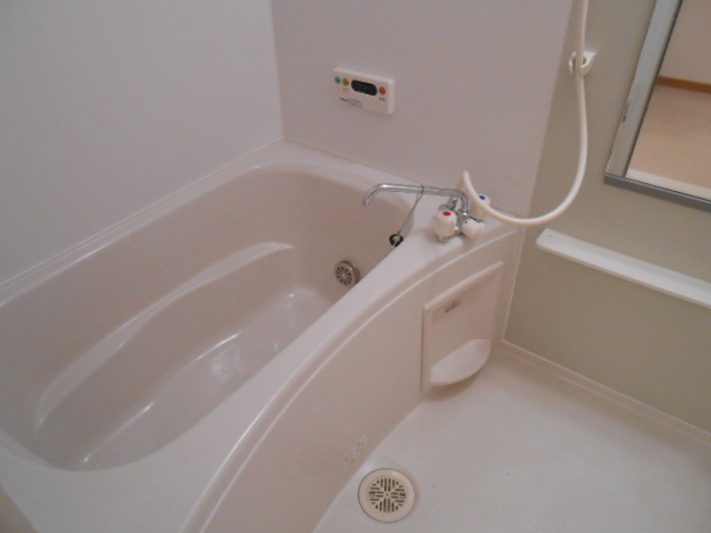 Bath. Bathtub equipped with add-fired function