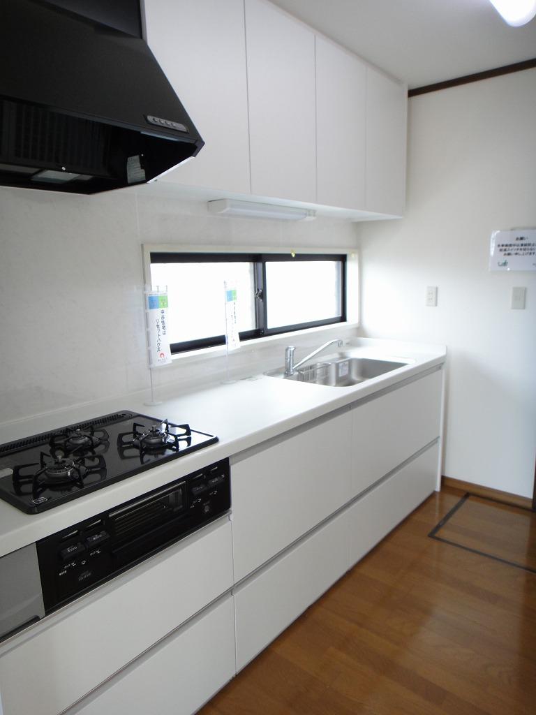 Kitchen. System kitchen new