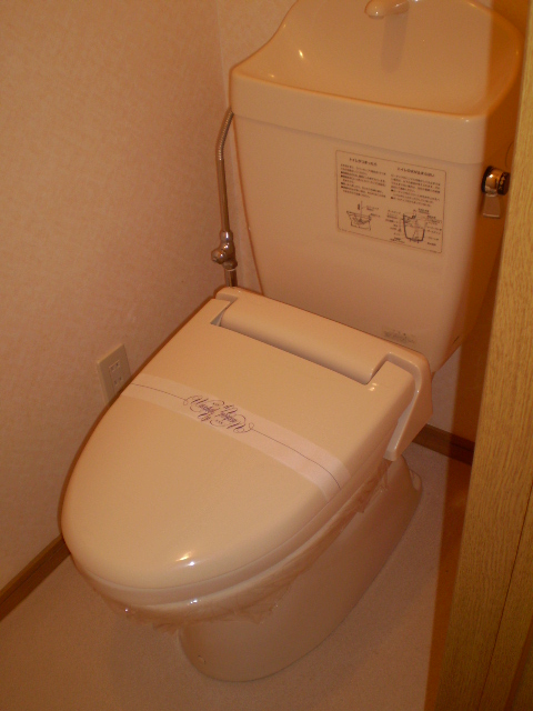 Toilet. Heating toilet seat equipped