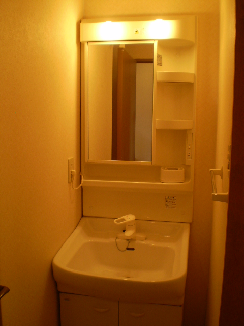 Washroom. Separate vanity (with lighting) equipped