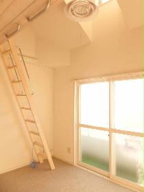 Living and room. The second floor is equipped with a skylight