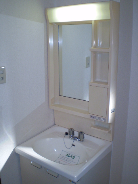 Washroom. Separate vanity (with lighting) equipped