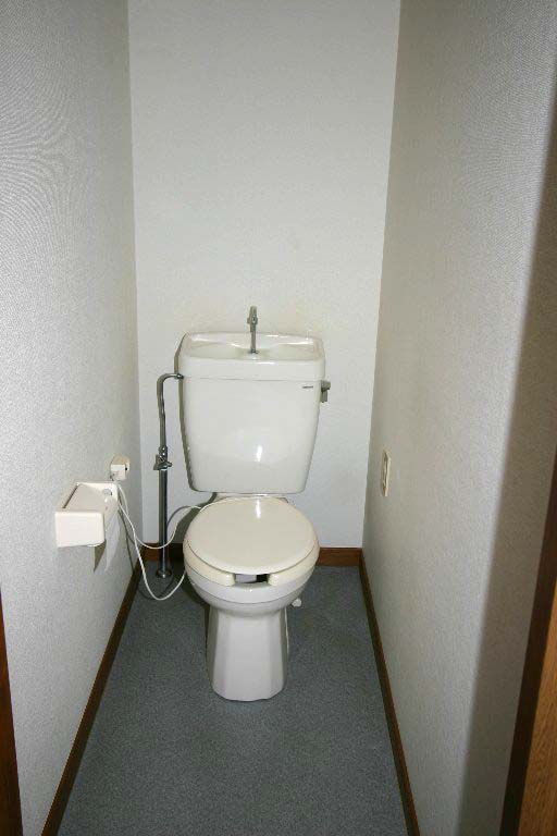 Toilet. Heating toilet seat