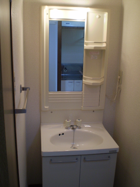 Washroom. Separate vanity (with lighting) equipped
