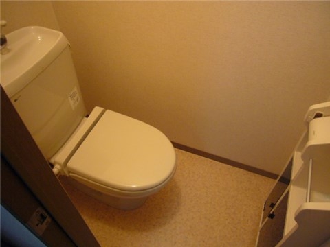 Other. Toilet