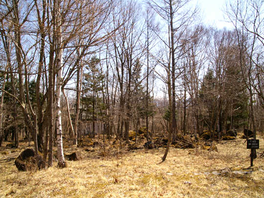 Local photos, including front road. Shoot the site from the west road