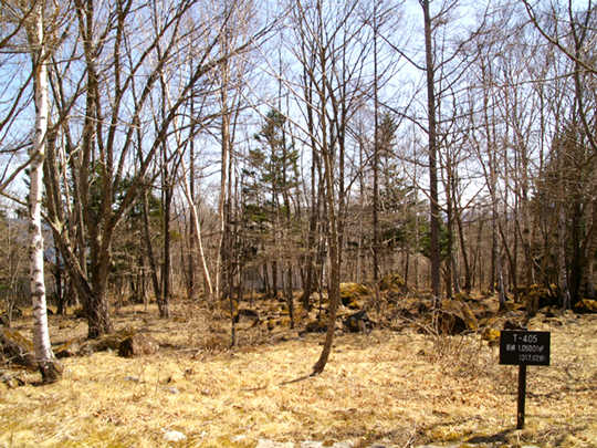 Local land photo. Shoot the site from the west road