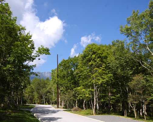 Local land photo. Construction in July 2008 has been completed subdivision of Nakahara district concert hall area. It is a high area of ​​convenience that is adjacent to Yatsugatake Plateau de la Musica Catalana. 