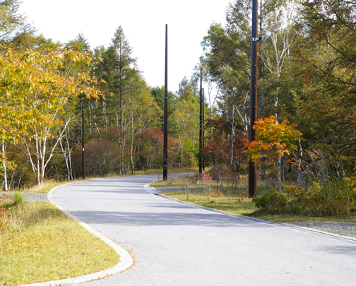 Local photos, including front road. Nakahara district music hall area subdivision. Was planned to draw a gentle curve road, you can enjoy views variegated. 