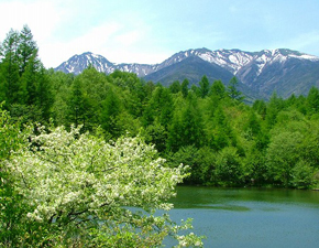 Other Environmental Photo. Courses and hut the sound of virgin forest and babble can enjoy the scenic spot "Misuzu pond" in other to be natural Township ・ Promenade, such as a course over the Palau de la Musica Catalana has been developed. 