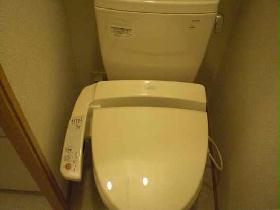 Toilet. It is happy with hot water cleaning function