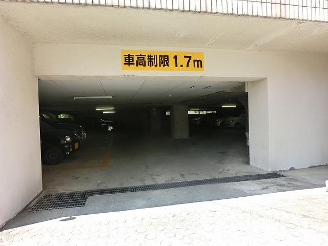Parking lot. Common areas