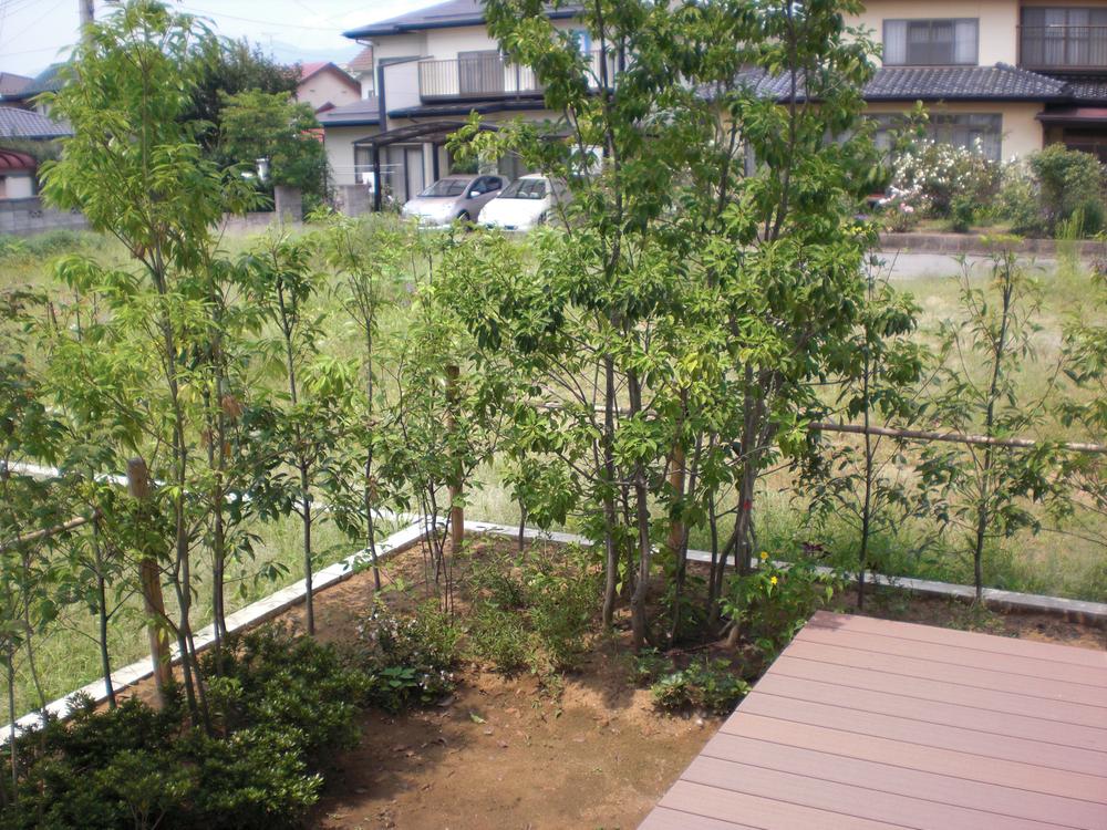 Garden. Wood deck (northwest)