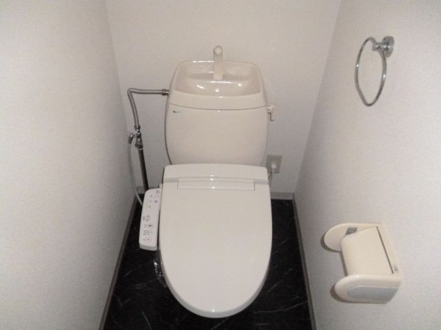 Toilet. It is a warm water washing toilet seat.