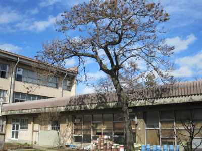 Primary school. 884m to Nagano City Michiaki elementary school (elementary school)