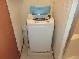 Other. It is with state-of-the-art fully automatic washing machine