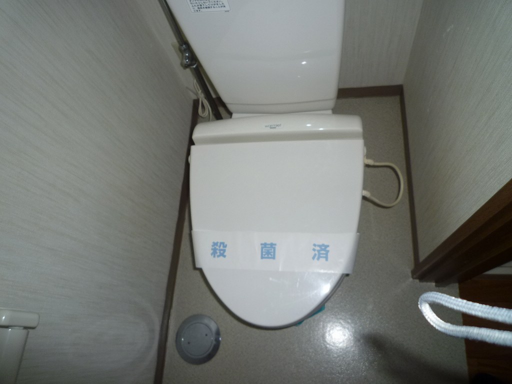 Toilet. The same type of room (No. 202 room)