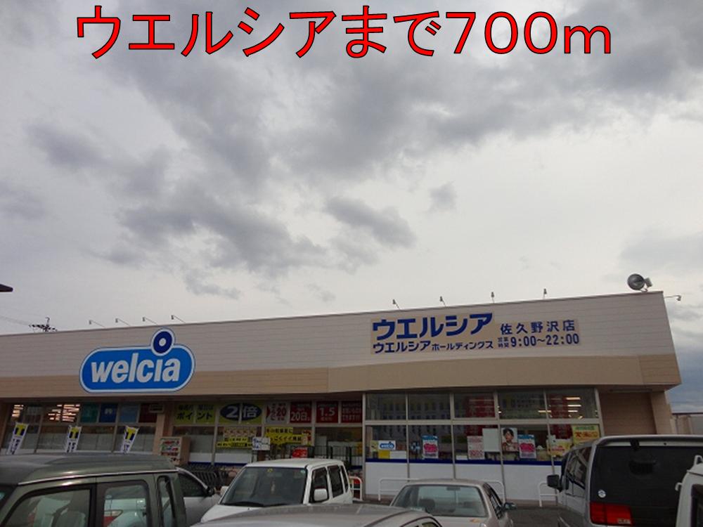 Dorakkusutoa. Uerushia Saku Nozawa shop 700m until (drugstore)