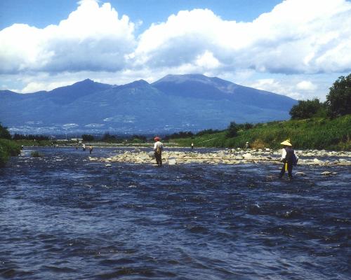 Other Environmental Photo. Chikuma River walk 1 minute