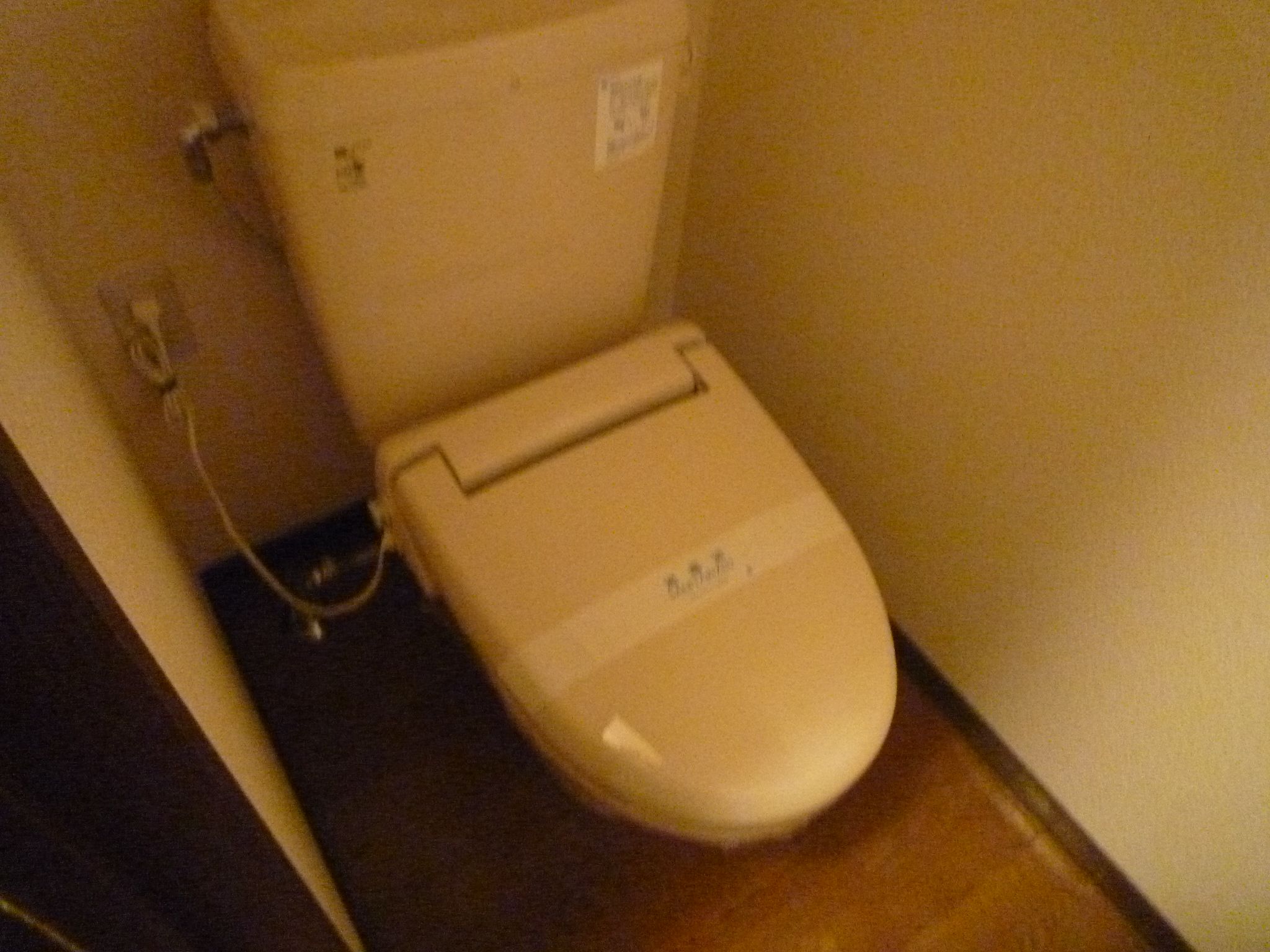 Toilet