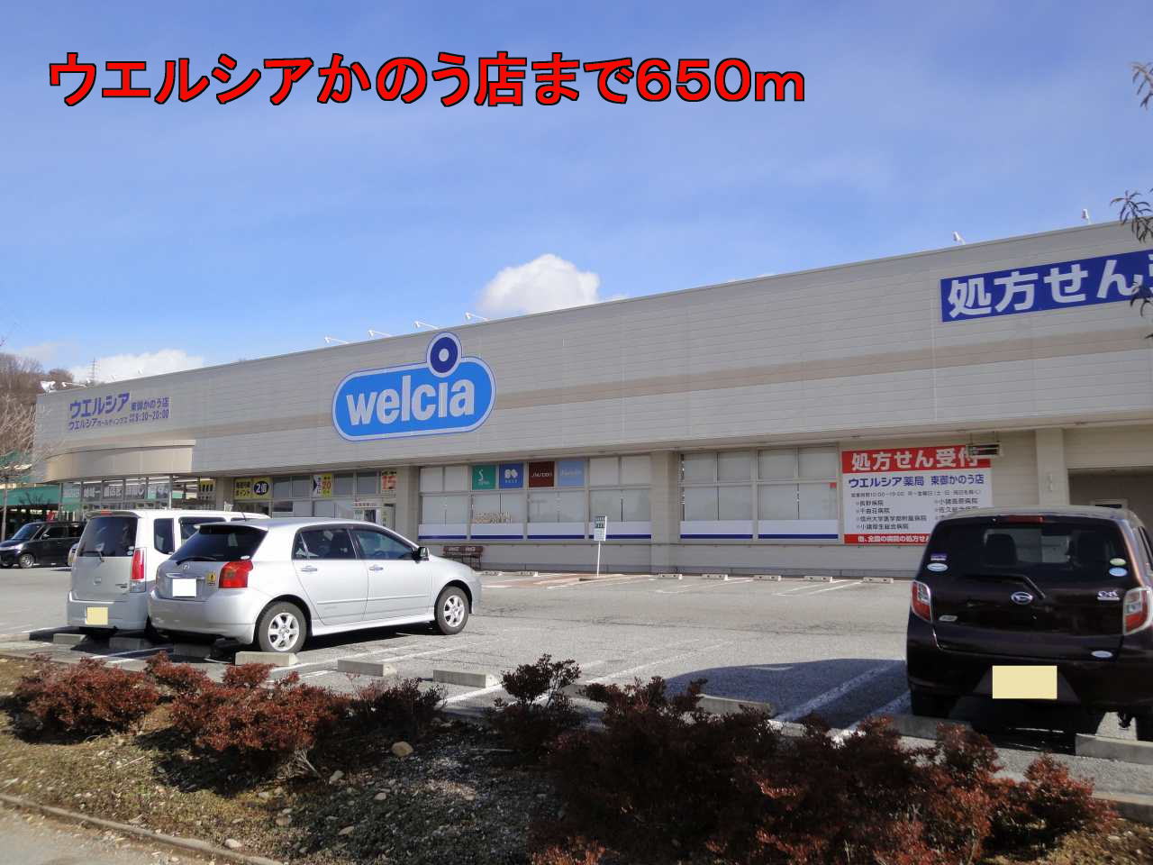 Dorakkusutoa. Uerushia east your possible shop 650m until (drugstore)