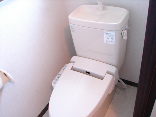 Toilet. It is with bidet of new