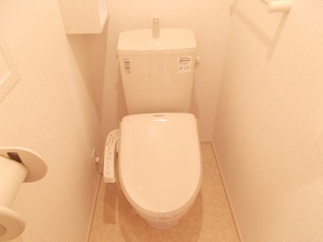 Toilet. Washlet with