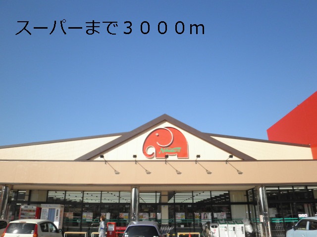 Supermarket. 3000m until Elena Hasami store (Super)
