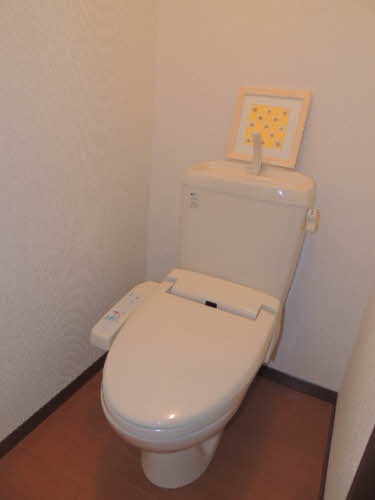Other. With multi-function toilet seat!