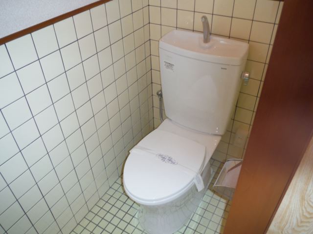 Toilet. New unused