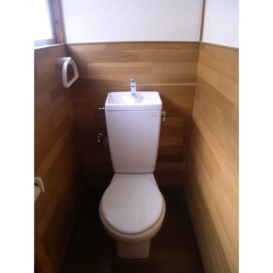 Toilet. Toilet