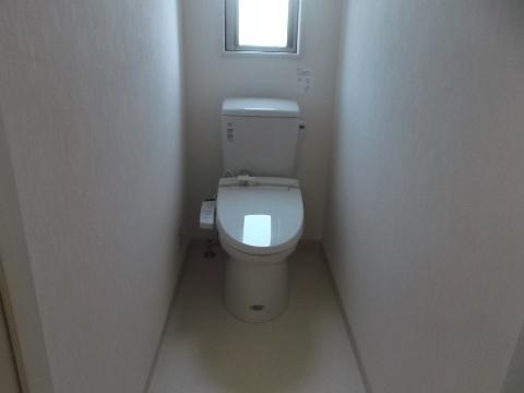 Toilet. It was toilet bowl exchange.