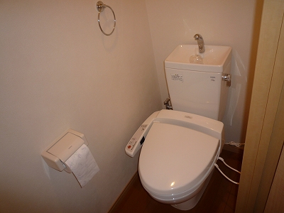 Toilet. There is a bidet