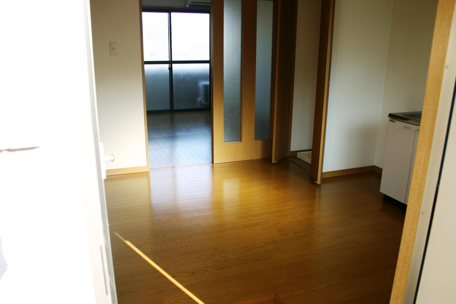 Living and room. Shiny flooring