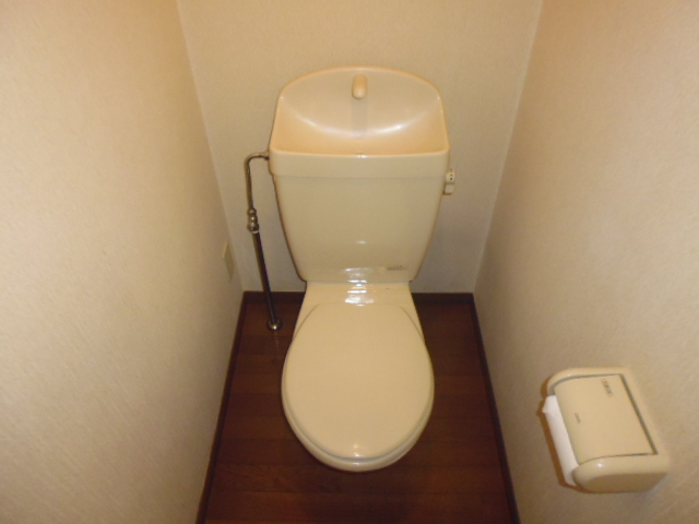 Toilet. Same apartment separate room