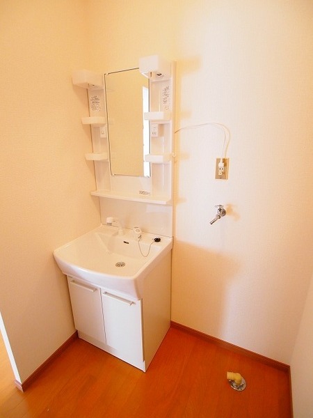 Washroom. Shampoo dresser