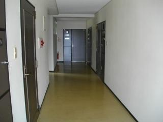 Other common areas. Co-corridor part