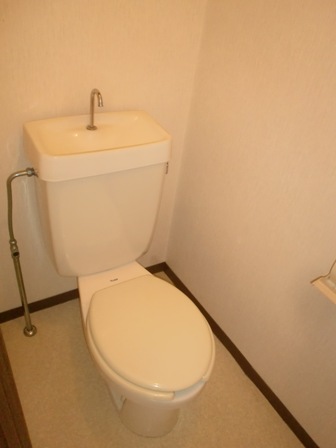 Toilet. Isomorphism Current state priority