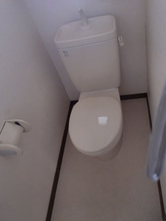 Toilet. Isomorphism Current state priority