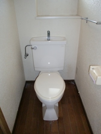 Toilet. Isomorphism Current state priority