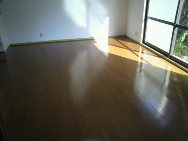 Same specifications photos (living). It was flooring overlaid clad! Strong and long-lasting