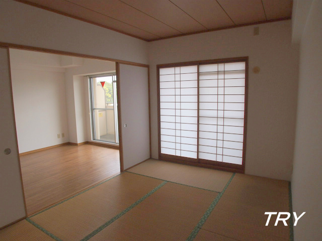 Living and room. Japanese style room