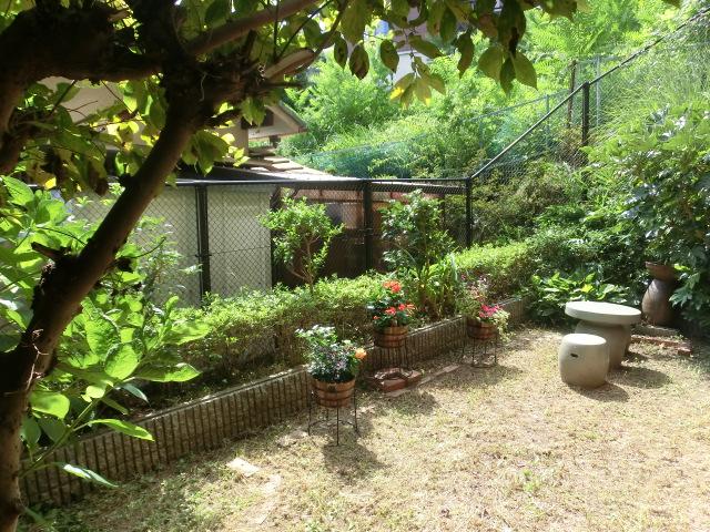 Garden.  ☆ We recommend the garden is wider ☆