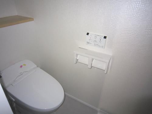 Toilet. Clean with hand washing in the tankless toilet