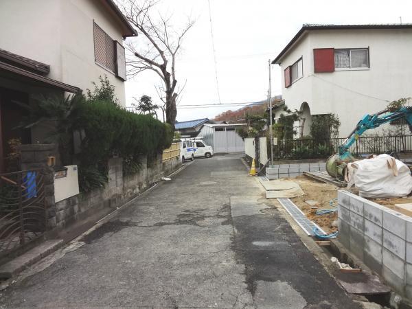 Local photos, including front road. Front road is flat. 